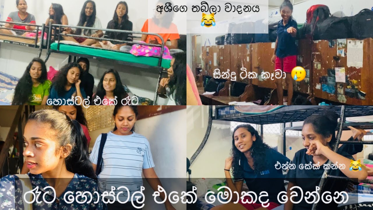 හොස්ටල් එකේ රෑට මොකද වෙන්නෙ🙉| අශීගෙ තබ්ලා වාදනය 😹 මහන්සි දවස් 🥺💗#hostel #jpura @Pawani_Jayasinghe 🍒