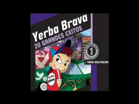04 Vamos A Bailar Yerba Brava 20 Grandes éxitos