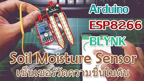 Arduino ESP8266 Blynk IOT - ทดลอง Sensor วัดความชื้นในดิน Soil Moisture Sensor มี Code ตัวอย่าง!!