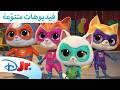 أفضل لحظات السيد بابي بووز القطط الصغيرة الخارقة ديزني جونيور بالعربي