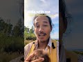 Soul Mind, Body & Soul Explained – How to Align All Three Into Flow