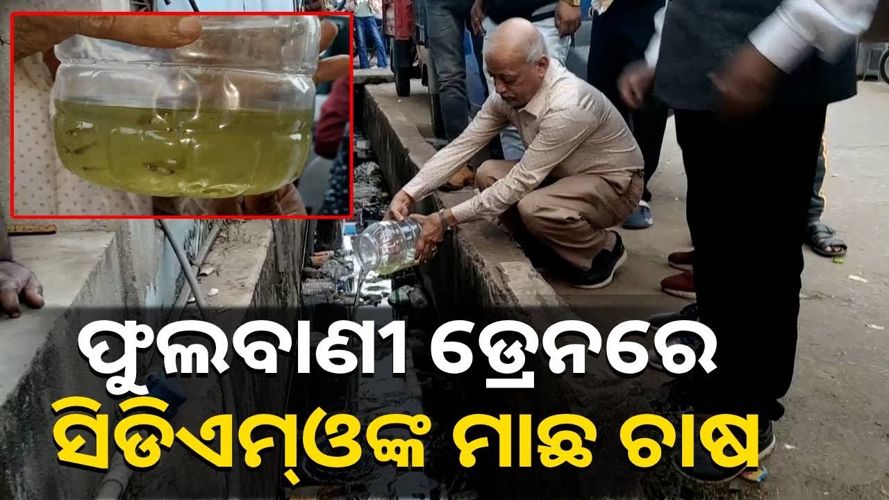 ଏକ ଭଲ ଉଦ୍ଦେଶ୍ୟ ନେଇ ମୁକୁଳା ଡ୍ରେନରେ ମାଛ ଛାଡୁଛନ୍ତି କନ୍ଧମାଳ ସିଡିଏମ୍ଓ || Knews Odisha