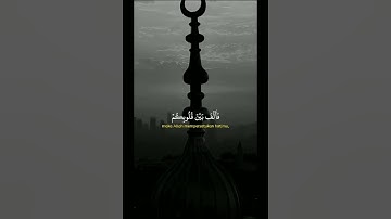 ماتيسر من سورة آل عمران...القارئ أبو النور