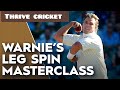 Shane Warne S LEG SPIN Masterclass Flipper Slider Top Spinner More Explained 
