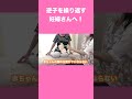 【逆子を繰り返さないためのノウハウです】 #逆子 #逆子体操 #妊婦