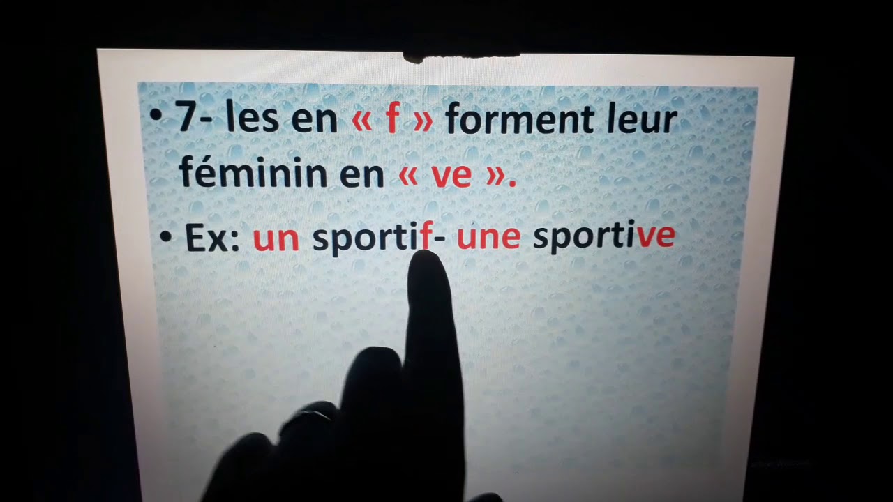 Le féminin des noms et des adjectifs qualificatifs pour 4ème et 5ème AP.