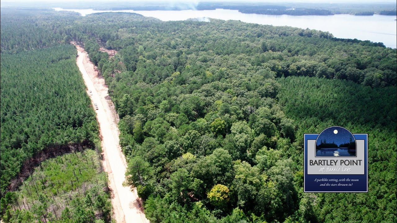 Bartley Point at Harris Lake | Project Update | August 2024