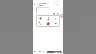 TEACHM Education: Birds