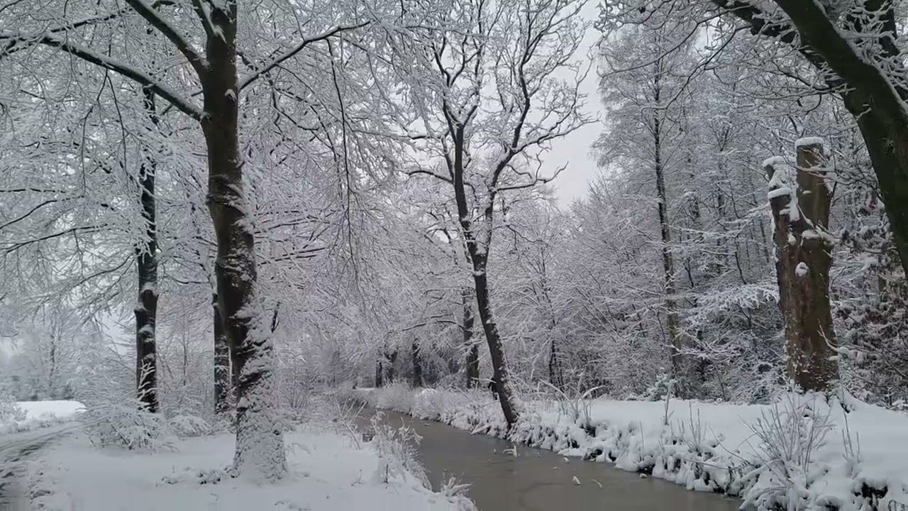 Nederland today snow ❄️. Very beautiful. Holland 🇳🇱 