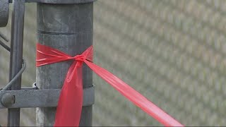 Woman says she woke up in hospital after electrocuted by park fence