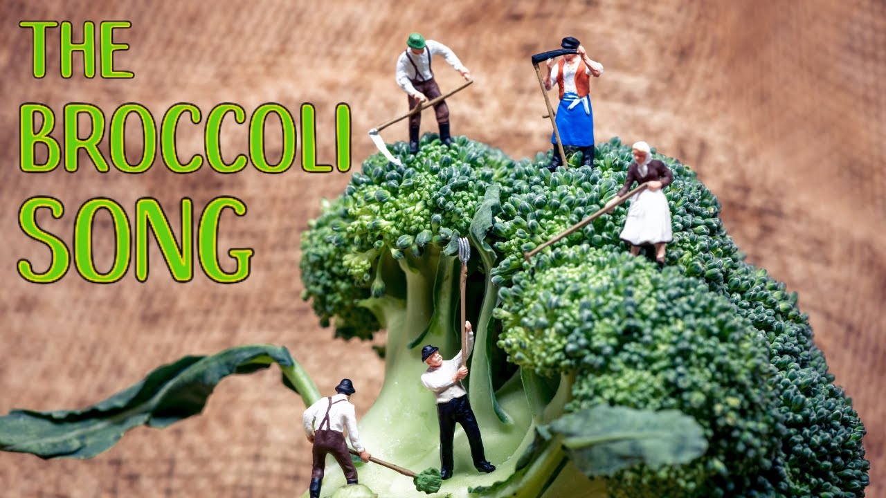 The Broccoli Song (Strange Song About The Vegetable Broccoli) Hmm that