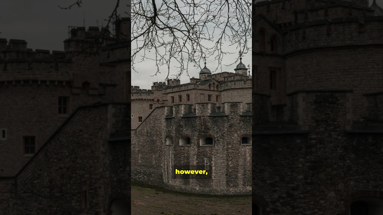 Tower of London Dig Reveals Shocking Secrets! [389]