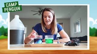 Kate the Chemist | Make a Bouncy Egg | Science Experiments for Kids