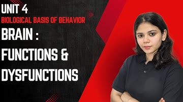 Brain: Functions & Dysfunctions | Unit 4 Biological Basis of Behavior | UGC NET DECEMBER 2025