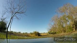 Vortex 250 and a BAD tree