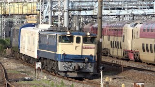 【サンライズと並走】EF65 2096牽引 マニ50 2186+伊豆急2100系「THE ROYAL EXPRESS」甲種輸送【4年連続北海道へ】2023.7.3