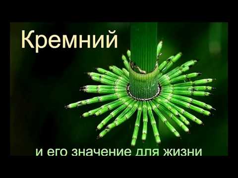 Video: Кремний өрөөнүнүн жанкечтилик кластерлеринин артындагы чыныгы көйгөй