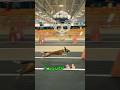 #DangerDog #RacingGame #Skull #EditKaran #Flash #racing Community #DogRacing #viral