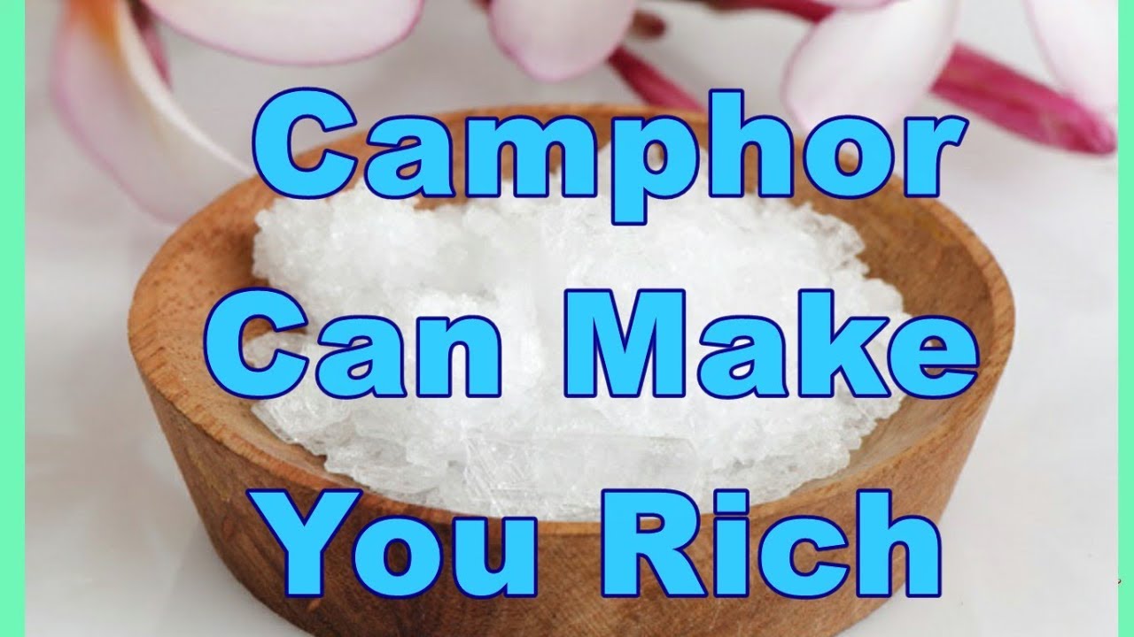 Camphor Can Make You Rich I Camphor Benefits I Camphor Uses I
