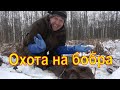 Охота на бобра КП-320 castor fiber #8