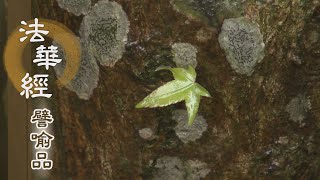 【靜思妙蓮華】法華經譬喻品 - 勤修精進 無上覺道 - 20201216 第598集