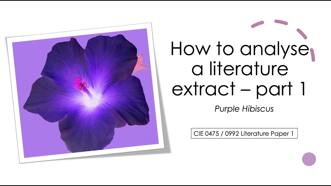 Download How to approach the extract question: CIE Literature IGCSE 0475/0992 Purple Hibiscus (part 1/2)
