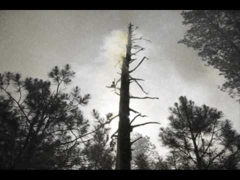 Mormon lake hotshots 2009 Saw Video