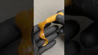 How to Rig a Twister Lure #fish  #риболовля #bassfishing  #fishing