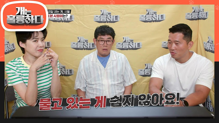 제자들이 본 시월이는 어떨까? 친해지는 순간 예민해진다는 강 훈련사의 분석 [개는 훌륭하다/Dogs Are Incredible] | KBS 220912 방송