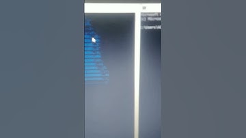 Curl parrot.live #allmyfellas