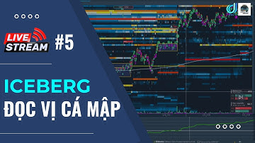 LIVESTREAM #Heatmap 5 | Đọc vị CÁ MẬP qua hiện tượng ICEBERG | DMC - GSBM