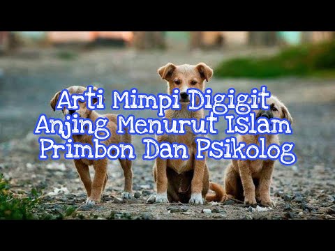 Arti Mimpi Digigit Anjing Menurut Islam Primbon Dan Psikolog