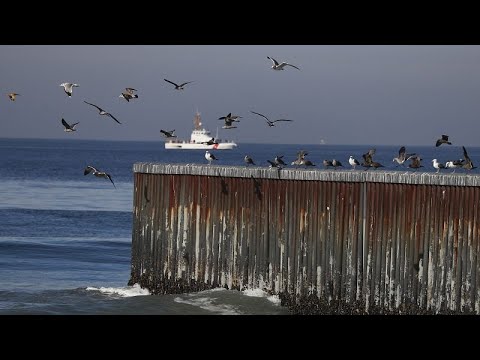 Vidéo: Quelle est la définition de omm ?