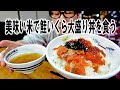 【贅沢丼】美味い米で鮭いくら大盛り丼を食う【飯動画】【飯テロ】