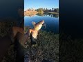 I dont always fish for bass, but when I do. I catch catfish #bankpressure #fishingvlog