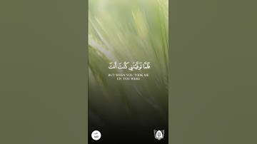 #تلاوة من #سورة_المائدة بصوت #محمد_الغزالي #قران #قرآن_كريم #آيات #استغفرالله #الحمدلله #quran
