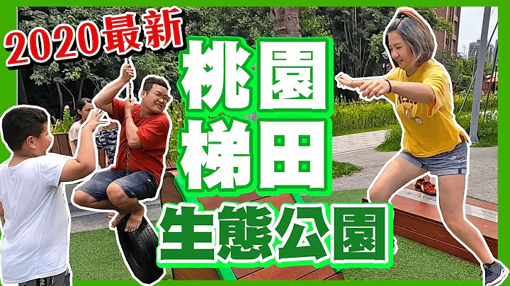 #桃園景點#親子景點➤大有梯田生態公園!大人小孩都愛玩!║妮毛日常 - 天天要聞