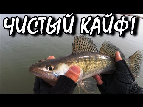 Рыбалка море кайфа!