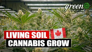 Zu Besuch in einer Living Soil CANNABIS Farm in KANADA | GreenConnection meets Fuga