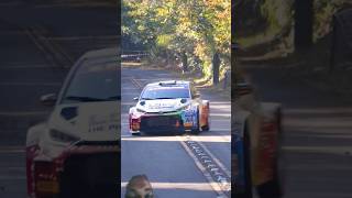 The most expensive zigzag drive #wrc #rally #racing #edit #2025 #rallyfans #rallystar #asmr #shorts