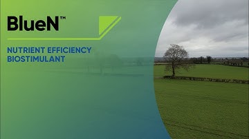 An introduction to BlueN™