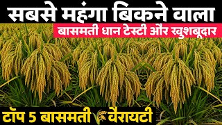 Basmati Dhaan ki Top 5 Best Variety🌾धान की बेस्ट वैरायटी🌱🌧️बासमती धान | Dhaan ki Top Variety 