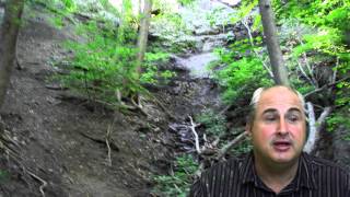 Free Home Inspection, 1930's older home, Fairview Park Ohio,