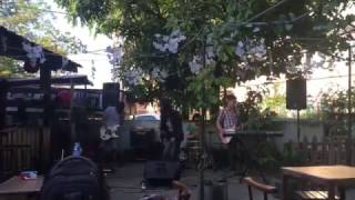 HYENAS NO ONE CAN TRUST