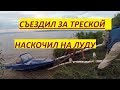 КАК ДРАВЯТ ЯКОРЕМ ЗМЕЙКУ В МОРЕ/ЛОВЯТ РЫБУ/НАСКОЧИЛ НА ПОДВОДНУЮ СКАЛУ