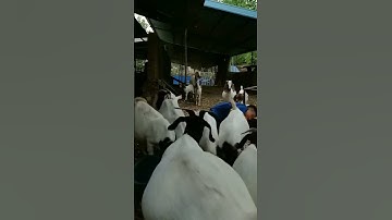 người khuyết tật, cuộc sống mỗi ngày 😱 #shorts