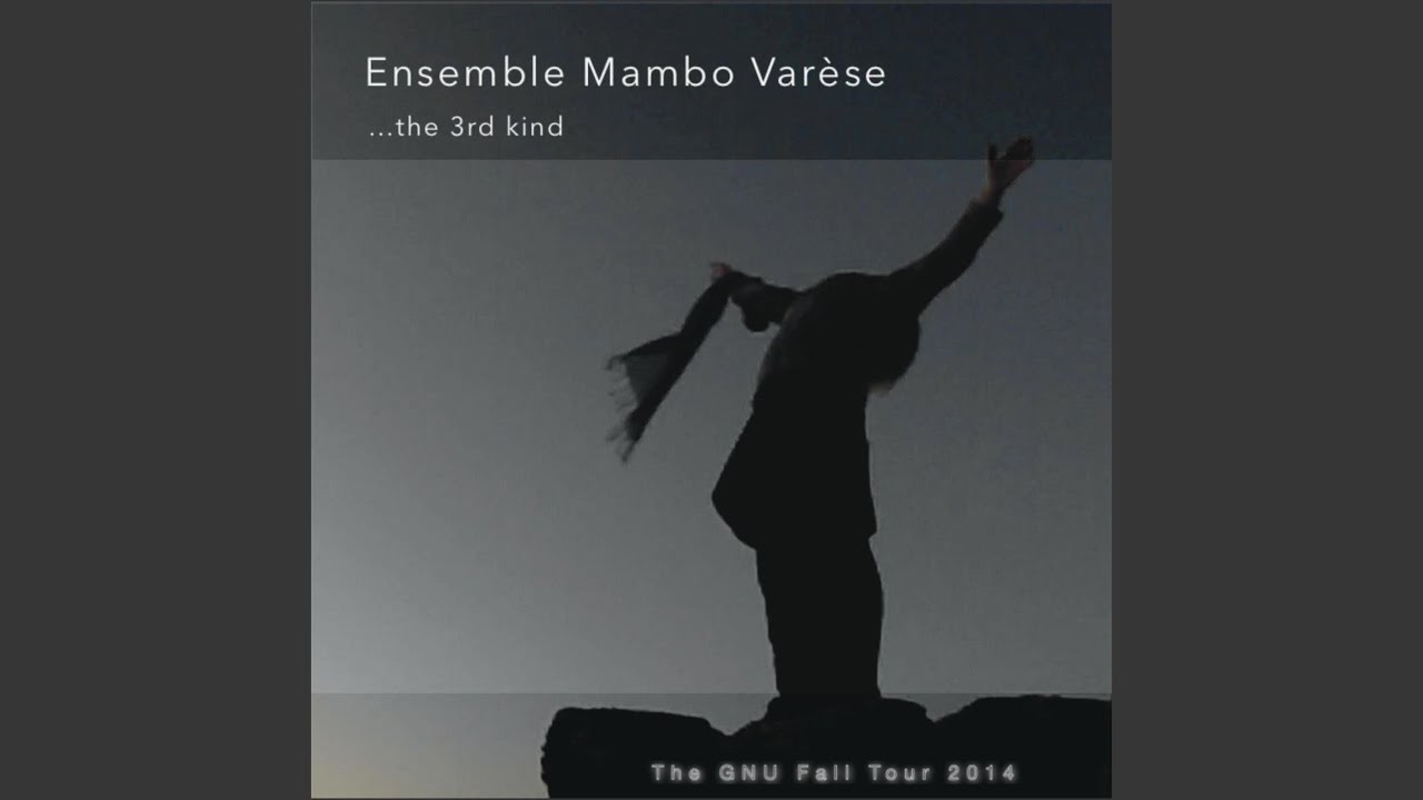 Ensemble Mambo Varese at Schwere Reiter 1st Day/1st Set (Live)