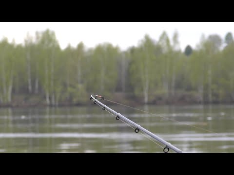 ПОВЕРИТЬ НЕ МОГУ, ЗДЕСЬ КЛЮЕТ ВСЯ РЫБА! Сазан, Лещ, Плотва, Густера. Рыбалка на фидер на реке Волга