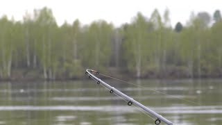 ПОВЕРИТЬ НЕ МОГУ, ЗДЕСЬ КЛЮЕТ ВСЯ РЫБА! Сазан, Лещ, Плотва, Густера. Рыбалка на фидер на реке Волга
