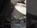 At least 2 dead, 9 missing after chemical tank explosion in Washington